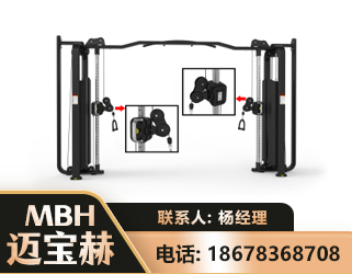 开封大飞鸟训练器